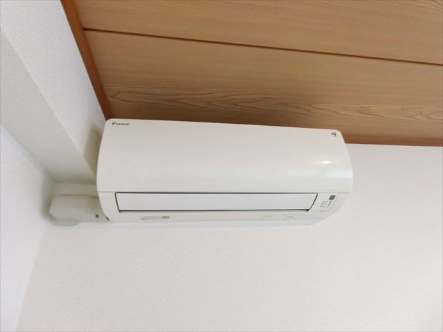 ロナ王子 その他6