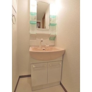 ディリジェントサトウ  その他4