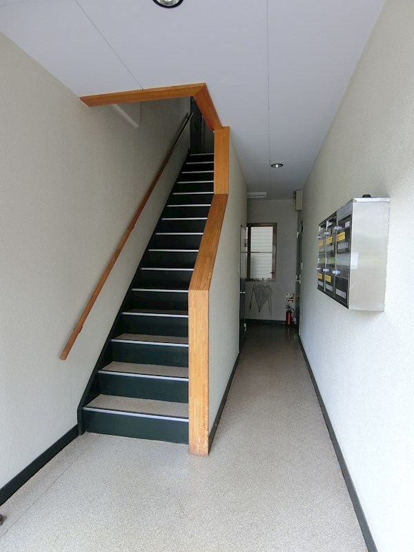 サクラハウス その他5