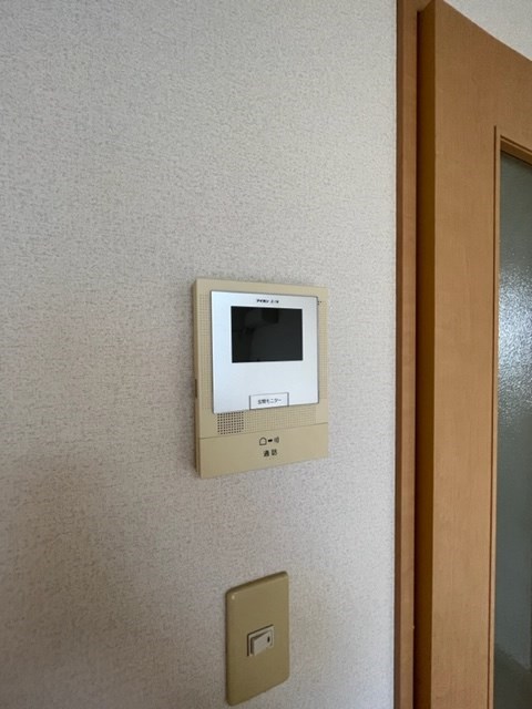 WELINA SHOEⅡ その他2