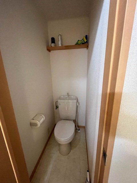 WELINA SHOEⅡ その他3