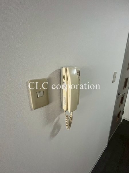ＰＡＬＡＺＺＯ  その他1