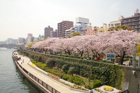 Ｆｌｏｒａｉｓｏｎ　ＨＡＮＡＫＡＷＡＤＯ 周辺画像2