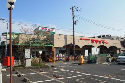 サントミグランドールマンション 周辺画像4