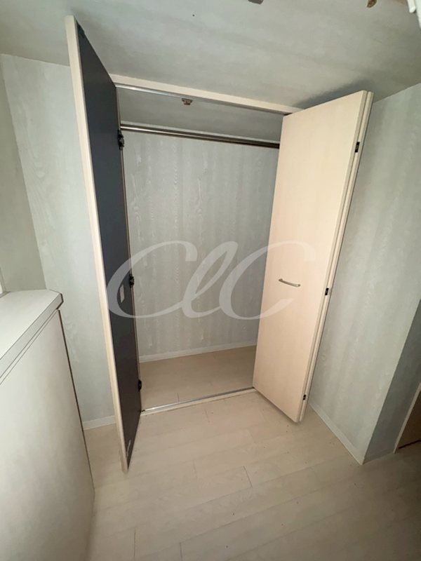 アルバティアラ  その他2