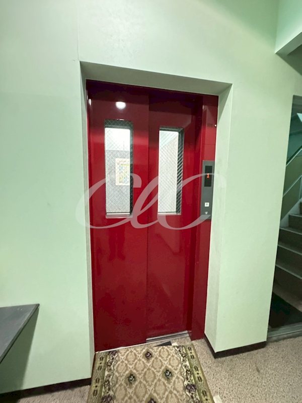 アルバティアラ  その他6