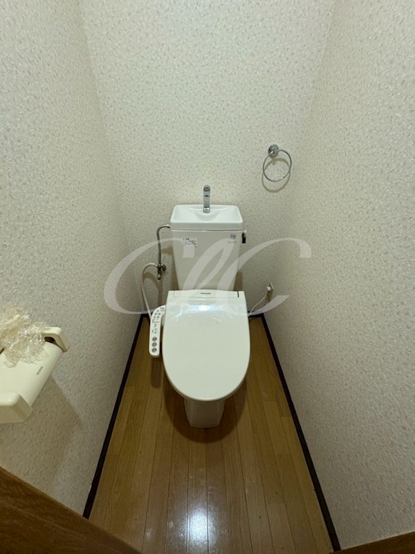 アルバティアラ その他1