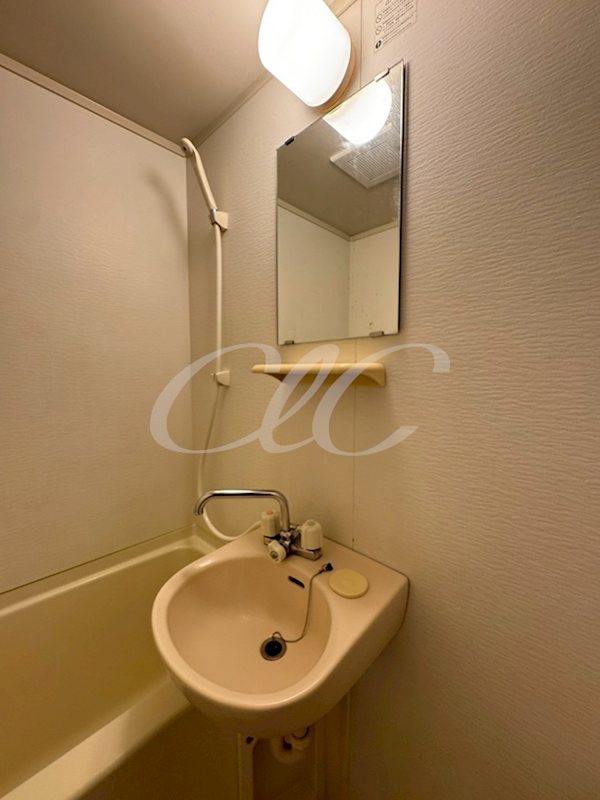 アルバティアラ その他2