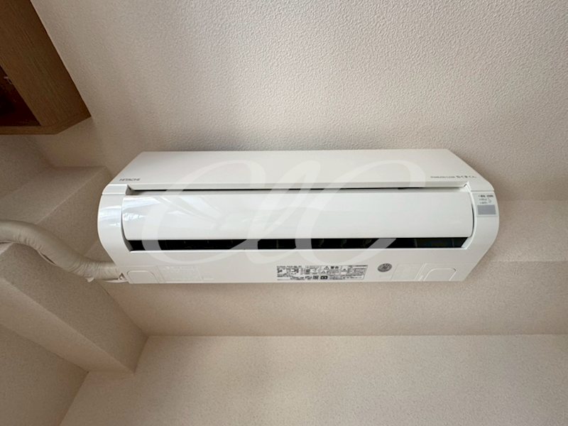 アルバティアラ その他6