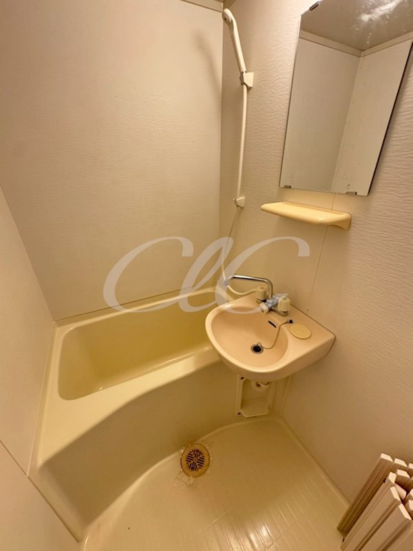 アルバティアラ 風呂画像