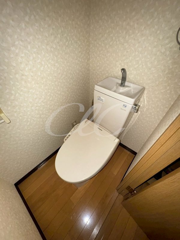 アルバティアラ その他1