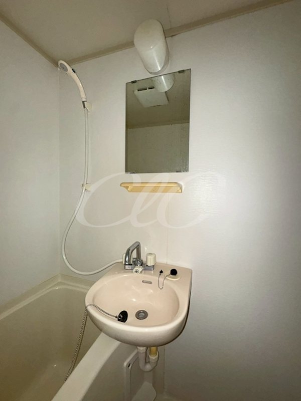 アルバティアラ その他2