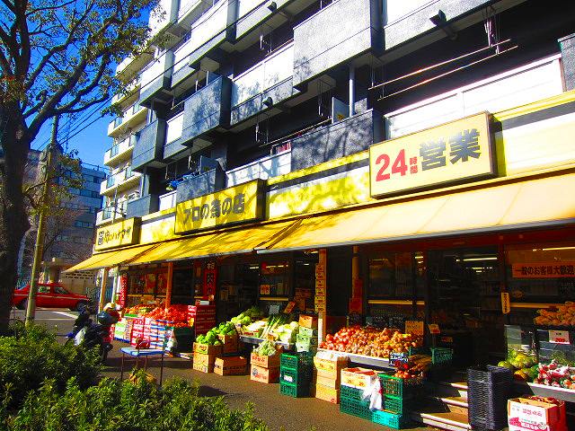 N residence SUMIYOSHI 周辺画像8