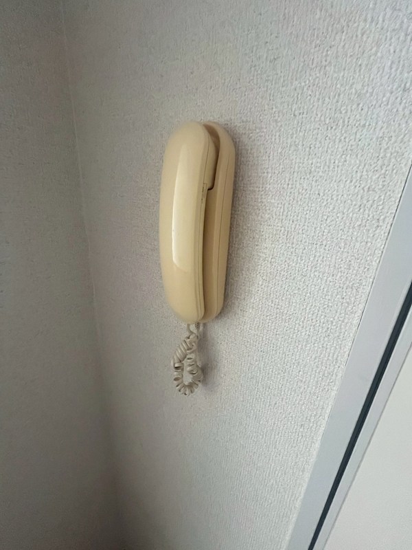 アスタリスク その他2