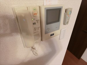 マインハイム2   その他9