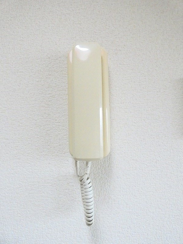 カーソルサヴァリンア その他3