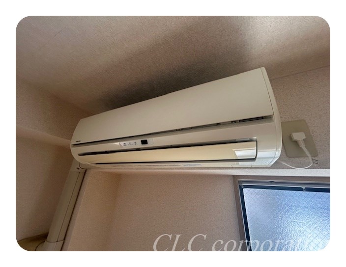 ヴィオラ その他1