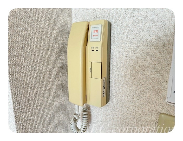 ヴィオラ その他6