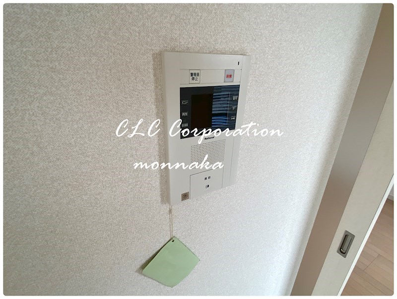 ＩＮＳＵＬＡ  その他6