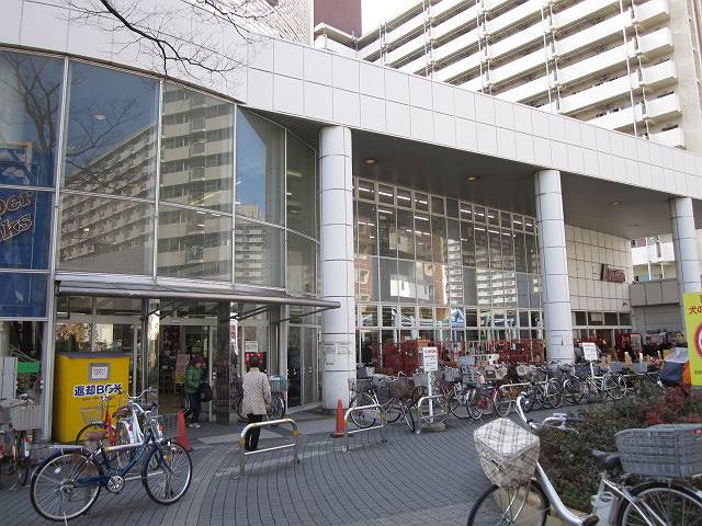 シャンテ東十条  周辺画像9