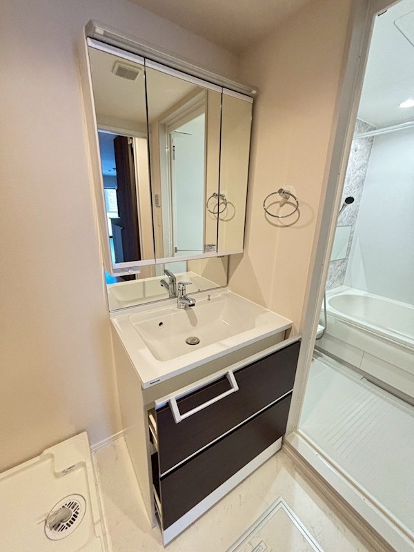 レガリア その他1