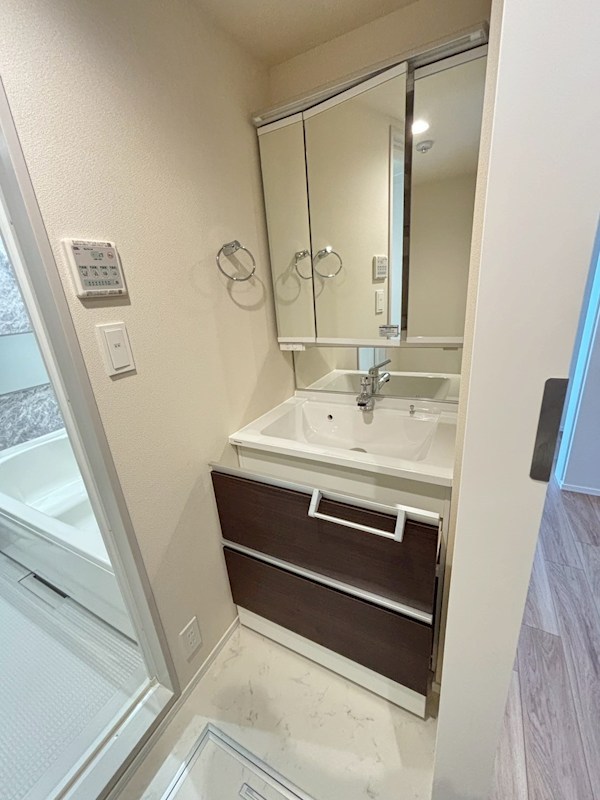 レガリア その他1