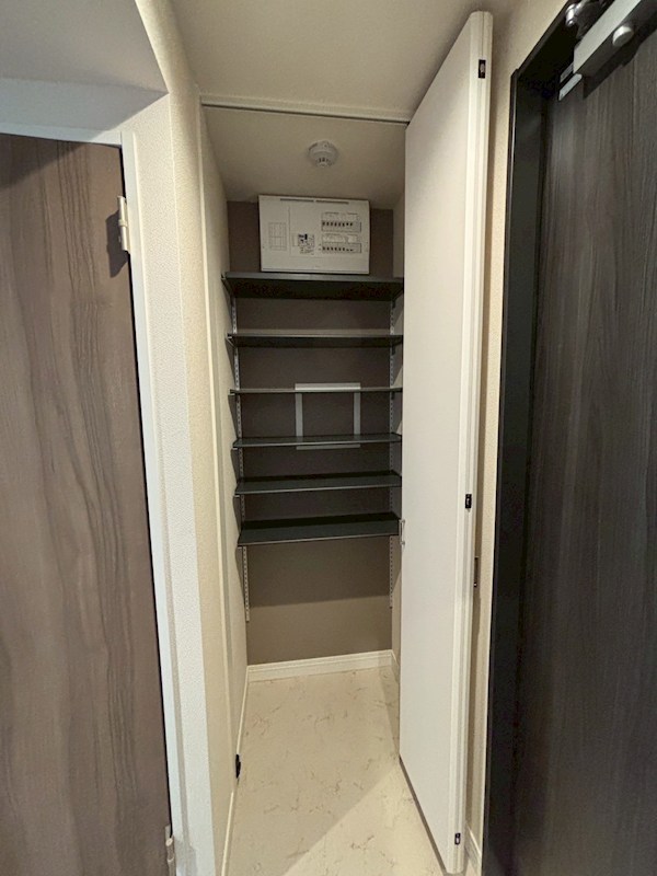 レガリア その他8