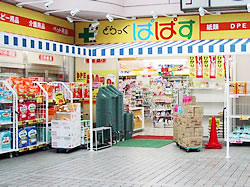 リリックコート平井  周辺画像2