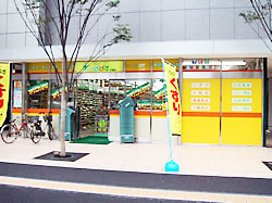 ドゥーエ月島  周辺画像5