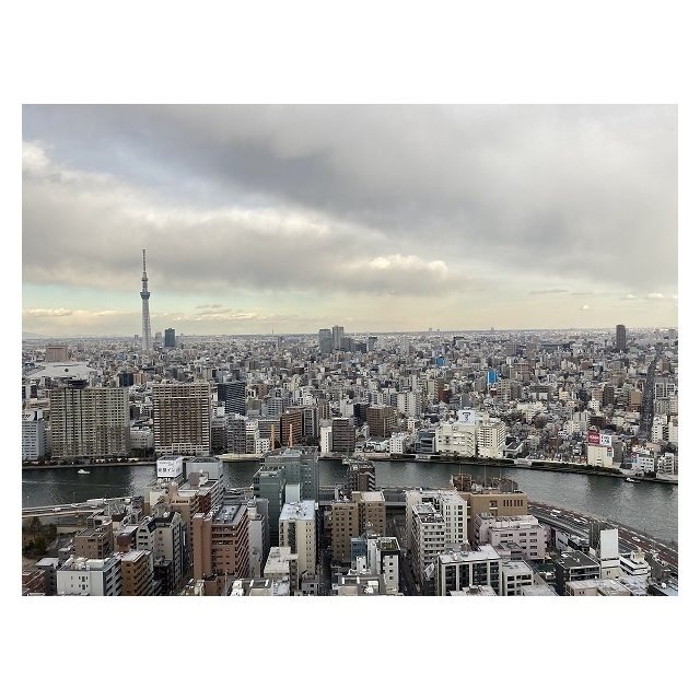 トルナーレ日本橋浜町  その他4