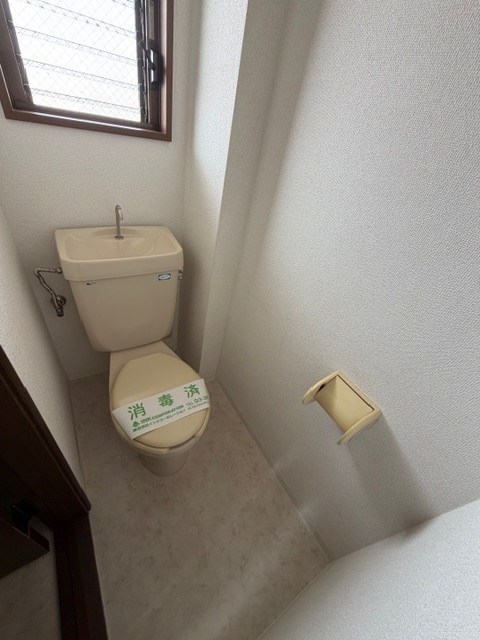 クリスタルパレス その他2