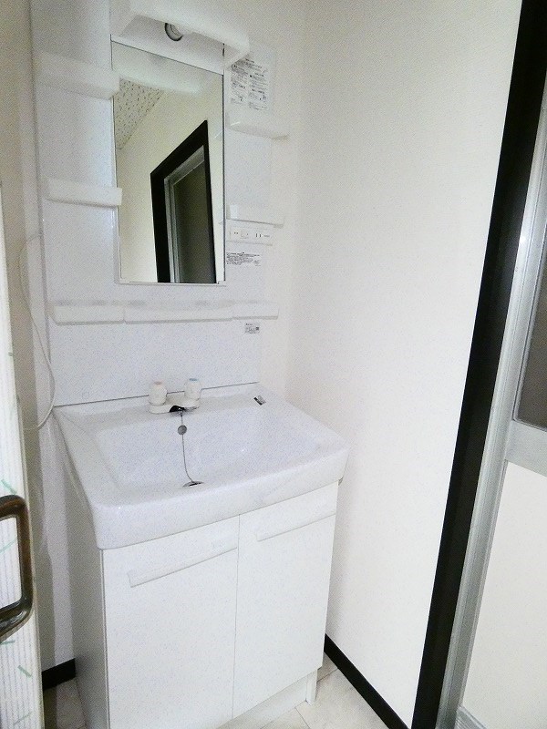 カーソルサヴァリンア その他2