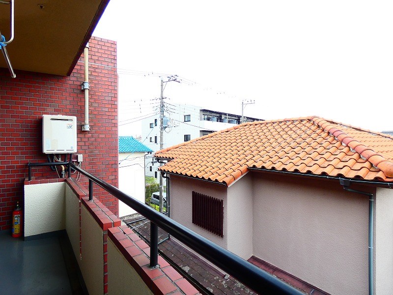 カーソルサヴァリンア その他6