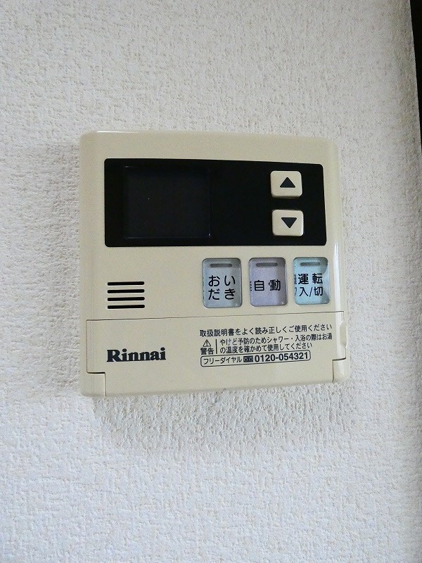 カーソルサヴァリンア その他7