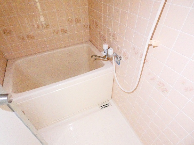 カーソルサヴァリンア 風呂画像