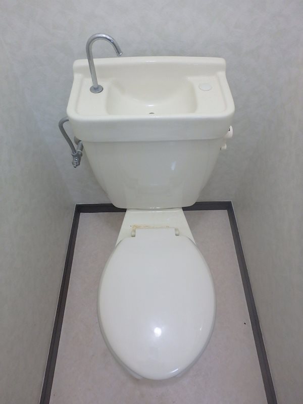 シャトレーゼヒコタ  その他3