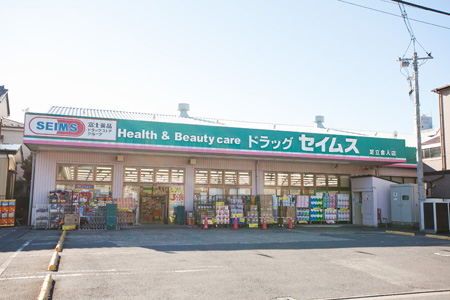 第二ペガサスB 周辺画像6