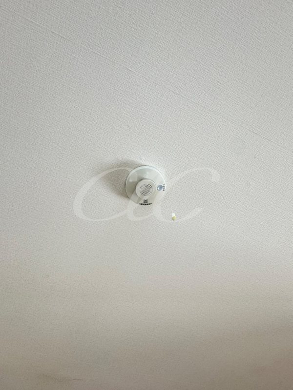 マンション梅木 その他9