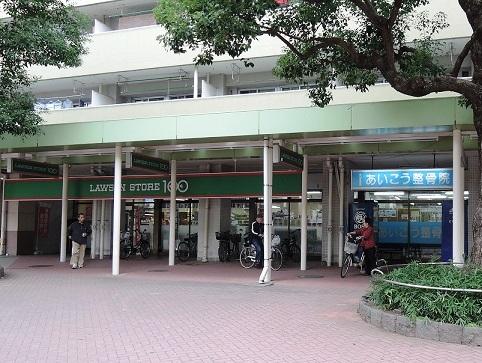 レルシール大島  周辺画像9