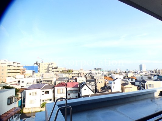 カーサーシンセラー その他1