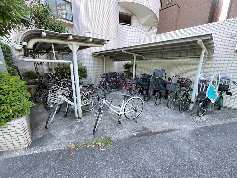 レピドール福田Ⅱ その他6
