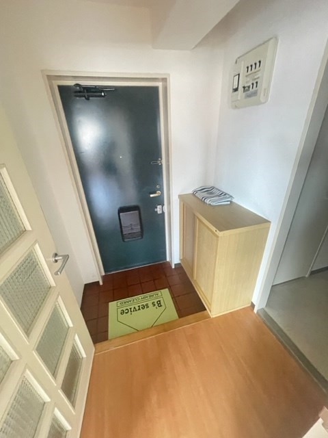 エクセレンス平井 玄関