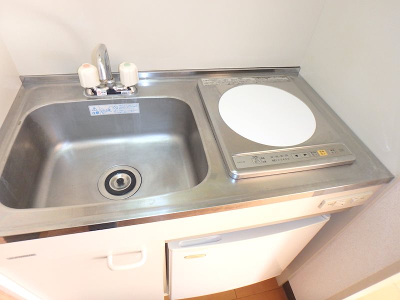 カーサカトレア   その他8