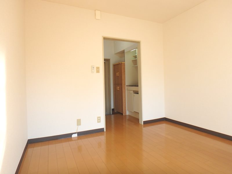 カーサカトレア   その他10