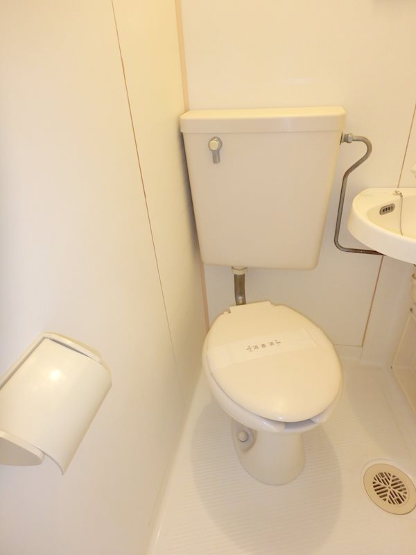 カーサカトレア   その他2