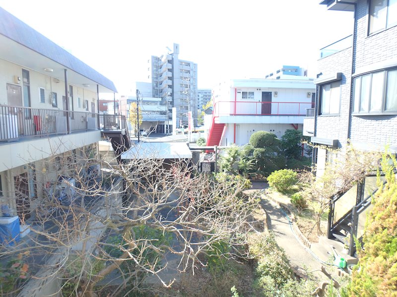 カーサカトレア   その他4