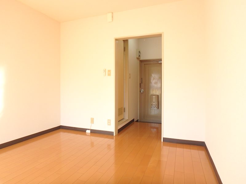 カーサカトレア   その他11