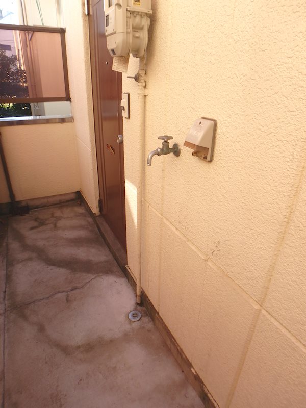 カーサカトレア   その他12