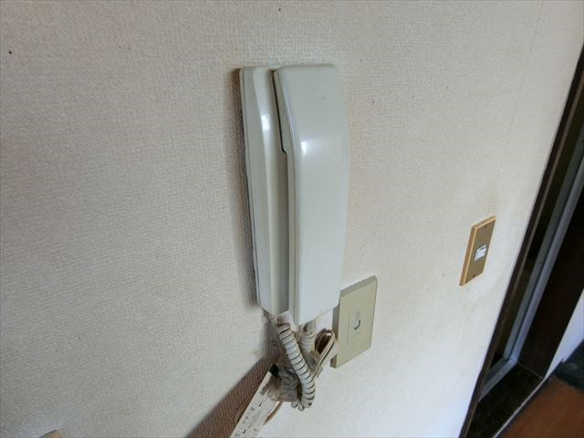 Ｔステーツ  その他4