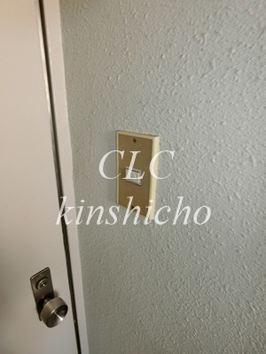 グリーンマンション その他3
